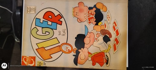 Lotto fumetti charlton tiger - fumetti,